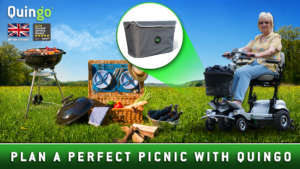 plan a perfect picnic with quingo