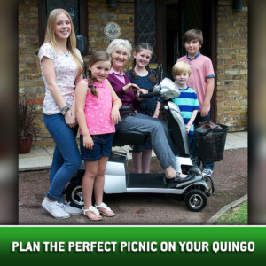 plan the perfect picnic with quingo